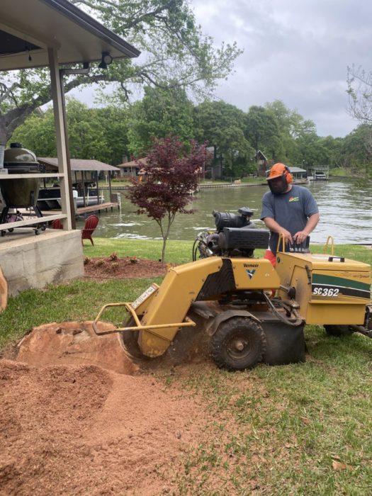 'Stump & Grind' to our June 2021 LakeLeader Summerhill's Services 9 new3 1 scaled CedarCreekLake.Online