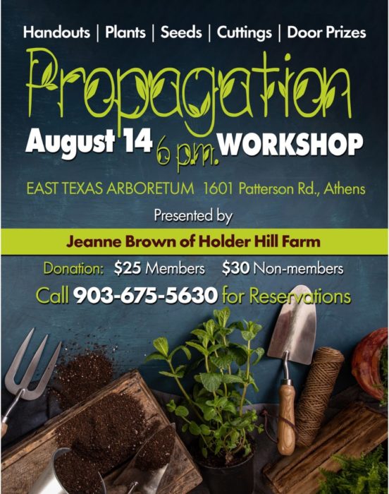 Propagation Workshop at East Texas Arboretum 1 Propogation workshop scaled CedarCreekLake.Online
