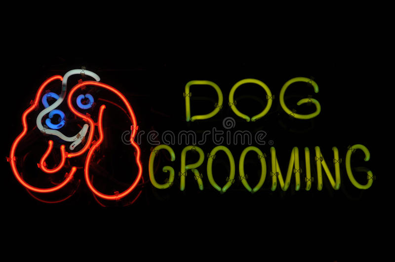 Dog Groomer
