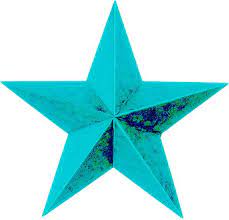 Wave Armor Of Texas 2 star logo 3 CedarCreekLake.Online