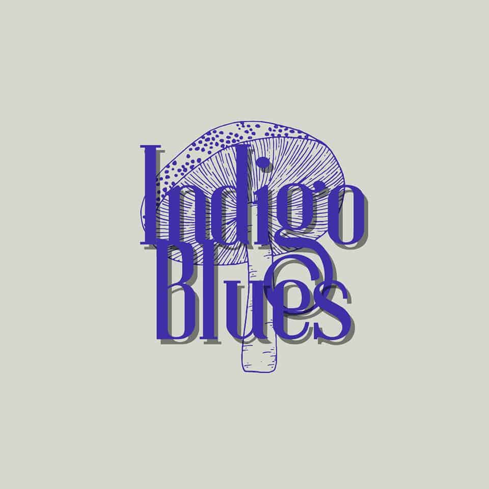 Indigo Blues at Vernon's Lakeside 1 indigo blues CedarCreekLake.Online