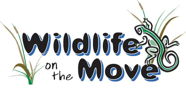 Wildlife On The Move At the Tri-County Library 1 wildlife on the move CedarCreekLake.Online
