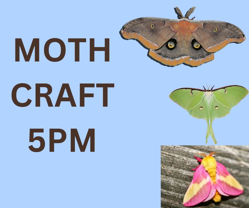 Moth Craft At Purtis Creek State Park 2 moth craft CedarCreekLake.Online