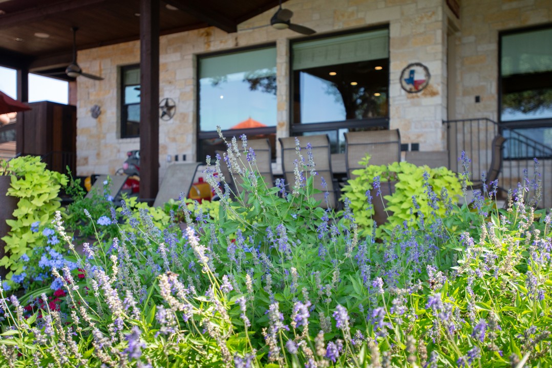 Southern Comfort - Cedar Creek Lake Getaways