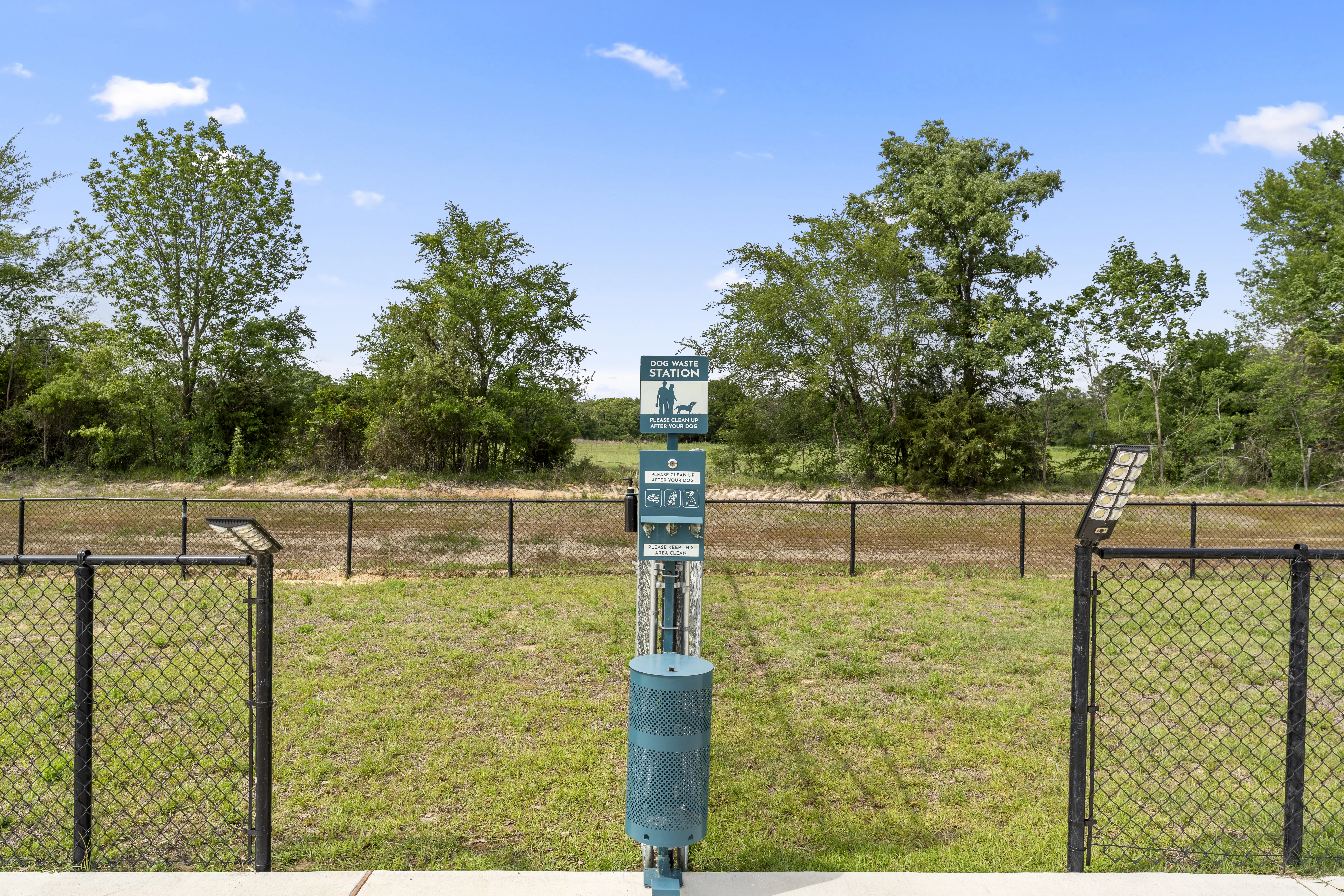 BCCR_Dog Park